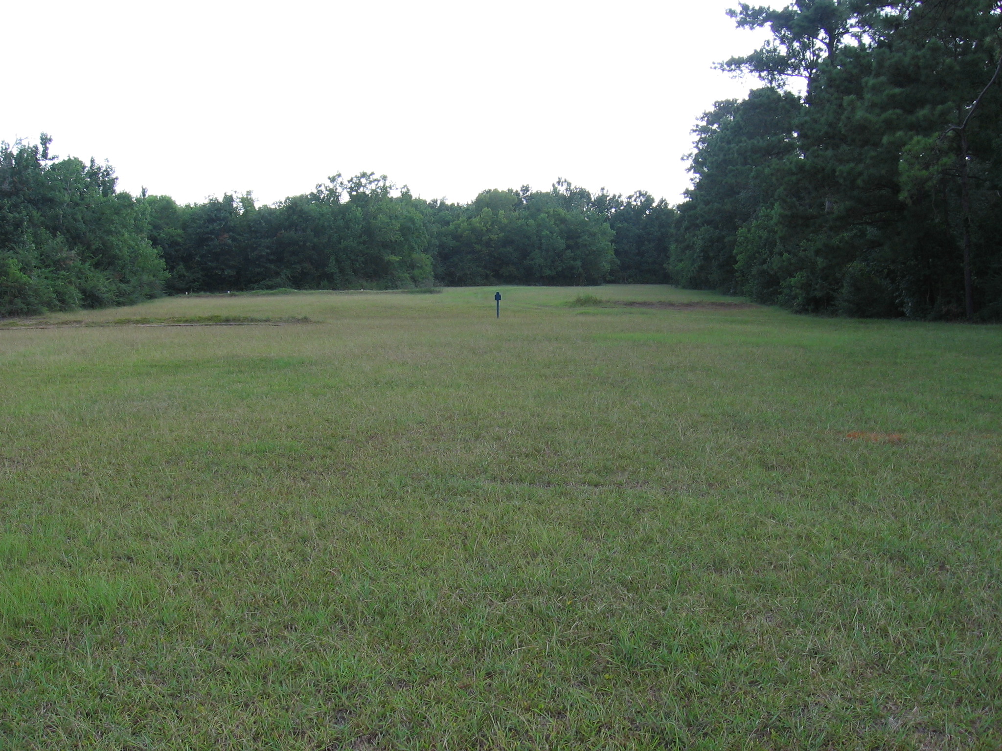 Target At 225 Feet (75 Yards) Using The Ruger 10/22 & Marlin 60 Transitioning To AR15 Using 0.22 LR Conversion Unit!